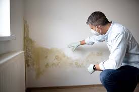 Best Residential Mold Inspection & Testing  in Lucasville, OH